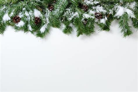 Snowy Christmas Border On White High Quality Holiday Stock Photos