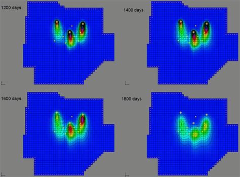 Pollutant Plume In The Polluted Aquifer Study Area At Different Times