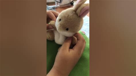토끼의 하루1 Youtube