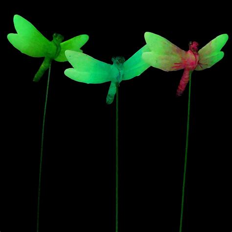 Fairy Garden Glow Dragonflies Set Away With The Fairies