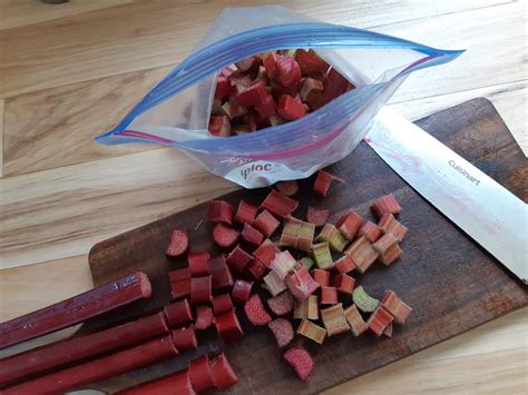 How To Freeze Rhubarb A Traditional Life