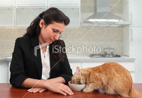 Ist29858617 Woman Feeding Her Cat