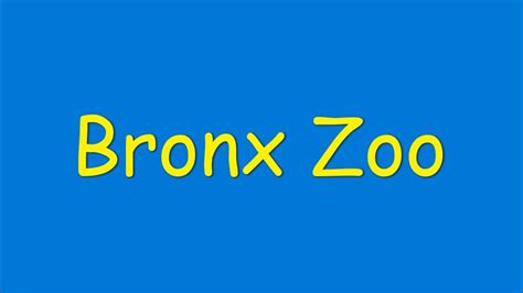 Bronx Zoo Youtube