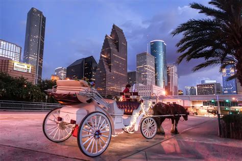 Check spelling or type a new query. Thanksgiving Proposal Ideas in Houston from Whiteflash