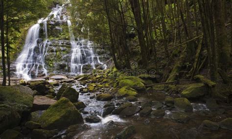Cascading Waterfall Stock Image Image Of Foliage Flow 44182519