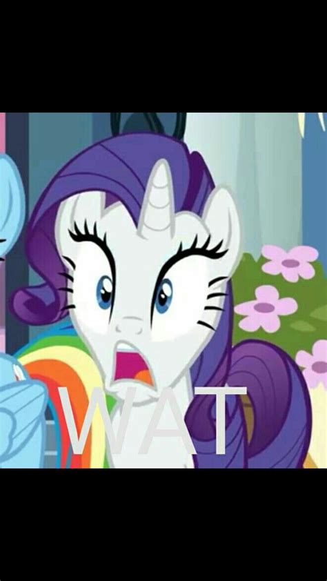 Rarity Shocked A Canterlot Wedding Mlp Funny Character Funny