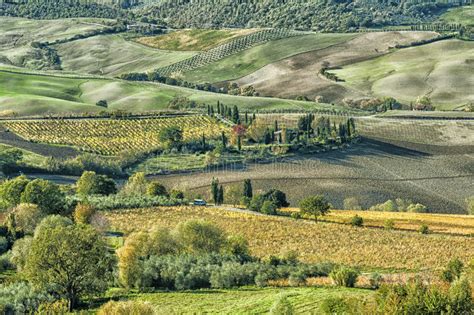 Vue De Val Di Chiana, En Toscane, L'Italie Photo stock - Image du