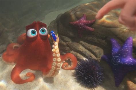 Fishy Friends Return In The Finding Dory Trailer Daily Star