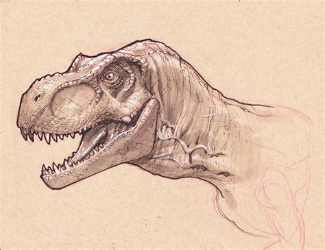 Dinosaur Head Drawing At Getdrawings Free Download