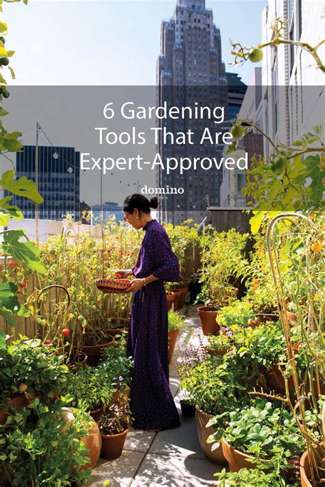 Gardener tools cena interneta veikalos ir no 15€ līdz 131 €, kopā ir 29 preces 10 veikalos ar nosaukumu 'gardener tools'. 6 City Gardening Tools That Are Expert-Approved in 2020 ...
