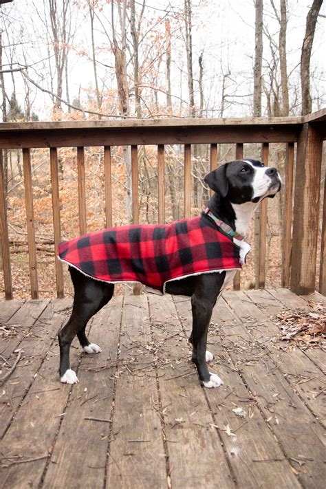 How To Sew A Cozy Custom Dog Coat In Less Than An Hour Wholefully