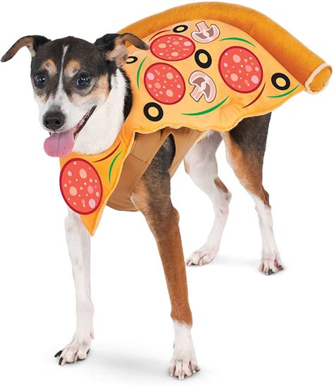 Pizza Slice Pet Suit Pet Clever