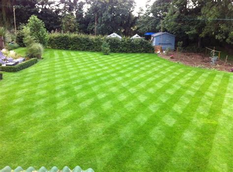 Beautiful Lawns The Sustainable Way Turf Matters