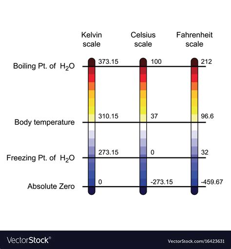 Comparison Of Three Temperature Scales Royalty Free Vector