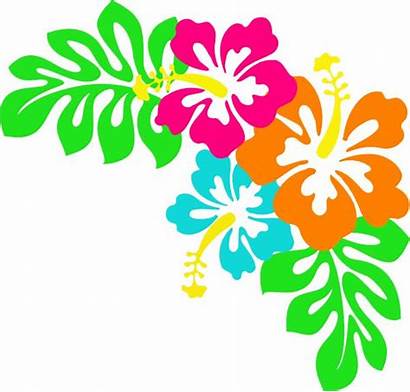 Tropical Clip Border Clipart Cliparts Library Flowers
