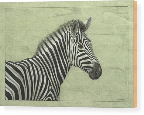 Zebra Wood Print By James W Johnson Zebra Canvas Art Zebra Canvas