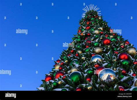 Large Outdoor Christmas Tree High Resolution Stock Photography And