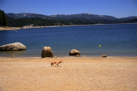 Shaver Lake Wisha Ryan Commons Flickr