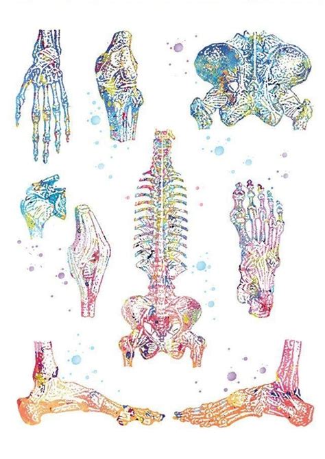 Pin De Dan Malmar En Canvas En 2021 Arte De Anatomía Arte De