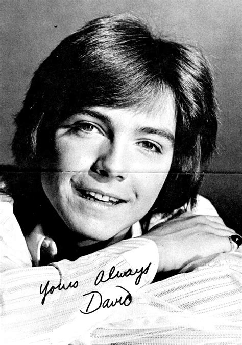 david cassidy [david s private photo album] produced by tiger beat and fave 1972（9 of 17） david