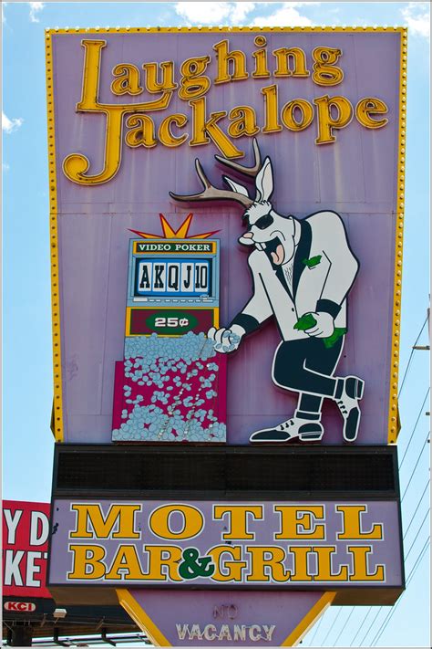 Laughing Jackalope Rich Anderson Flickr