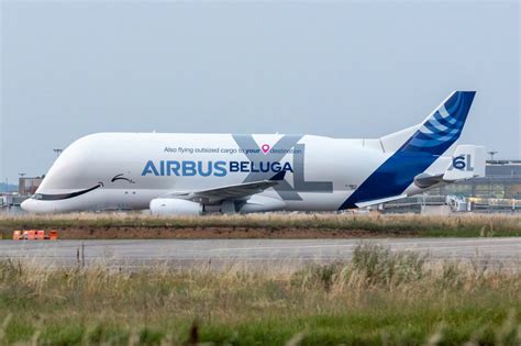Airbus Unveils Sixth And Final Beluga Xl With Special Livery Air Data