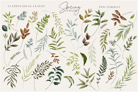 Verdant Watercolor Leaves And Greenery Graphics By Avalon Rose Design