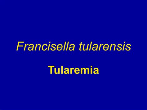 Inhalation of this select agent can lead to pulmonary tularemia which has a mortality rate. Francisella tularensis