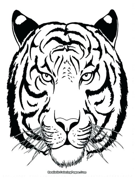 White Tiger Coloring Page at GetColorings.com | Free printable