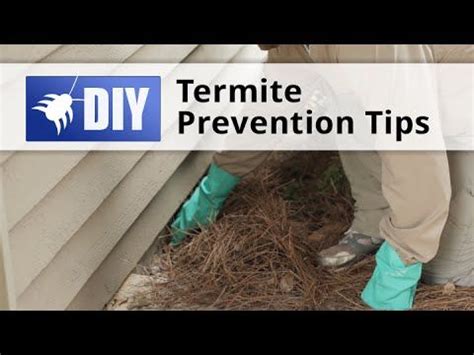 Getting rid of access points for pests will help keep them out of your if you notice a pest or discover signs that you might have a pest infestation, you should contact the accomplished exterminators at shelby's pest. Finding a termite infestation can be very stressful and ...
