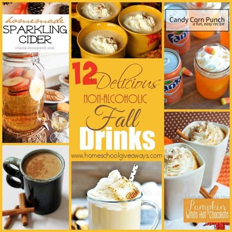 12 Delicious Non Alcoholic Fall Drinks Fall Drinks Flavored Drinks Spritzer Recipes