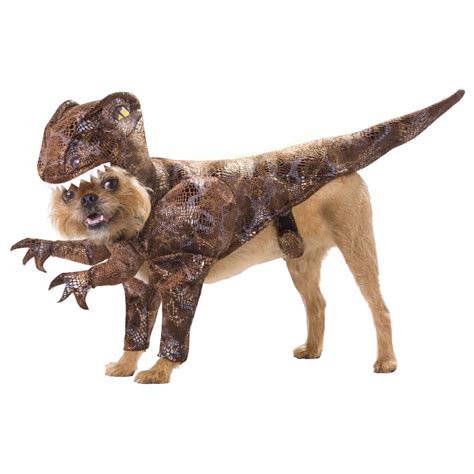 Dinosaur Costumes For Dogs T Rex Dragon Prehistoric