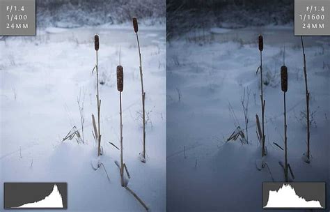My Best Tips For Photographing Snow Creativeraw