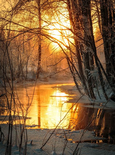 Forest Creek Nature Photography Winter Scenery Landscape