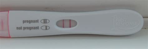 This Fake Pregnancy Test Always Looks Positive And We Hope It S Being Used For Hilarious Pranks