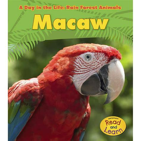 Day In The Life Rain Forest Animals Paperback Macaw Paperback