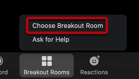 Zoom Participant Controls – CTE Resources