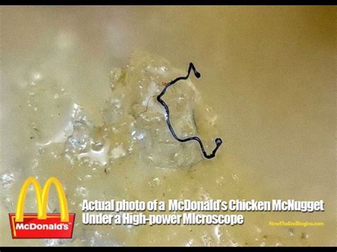 mcdonald s chicken mcnuggets found to contain mysterious fibers wuc news