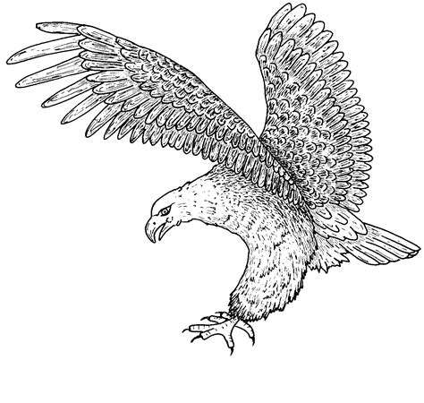 Free Printable Pictures Of Eagles - Printable Word Searches