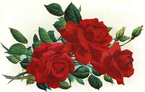 Cartoon Flowers Clip Art Vintage Red Rose Graphic 3 Rose Flower
