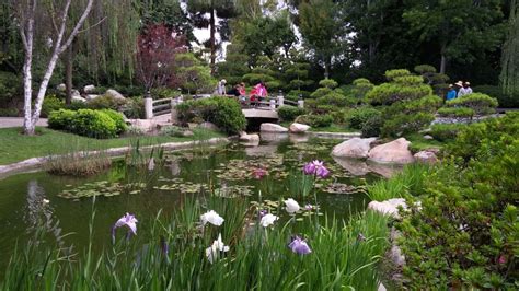Find traveler reviews and candid photos of dining near earl burns miller japanese garden in long beach, california. There's A Little Known Unique Japanese Garden In Southern ...
