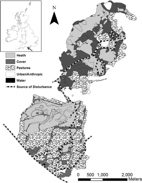 Sika Deer Distribution And Habitat Selection The Influence Of The