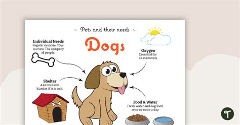 Pets And Their Needs Posters Teach Starter