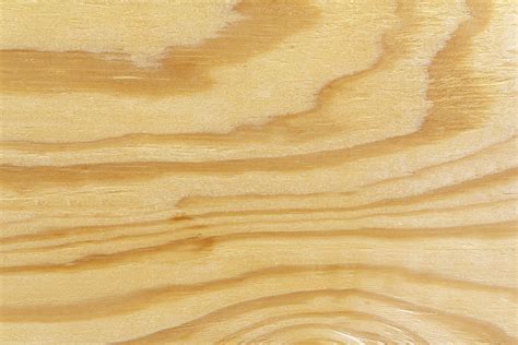 Rough Textured Plywood Grain Photograph By Chris Rose