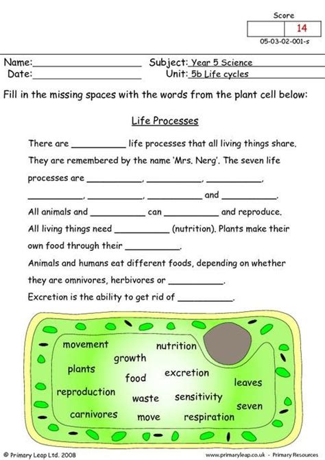image result for worksheet on life process science science