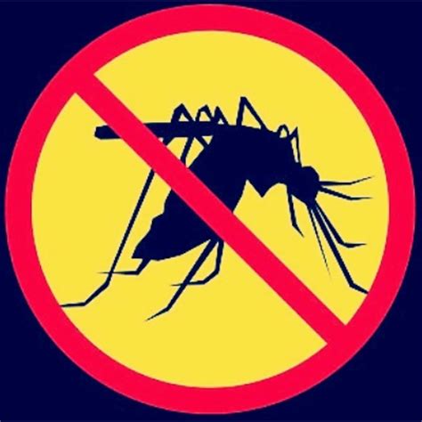 Nyamuk aedes mempunyai belang hitam putih pada kakinya. Tanda Tanda Dan Tips Demam Denggi