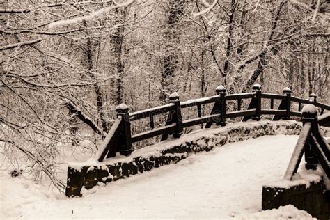 Beautiful Old Stone Bridge Of Winter Forest In The Snow At Sunset