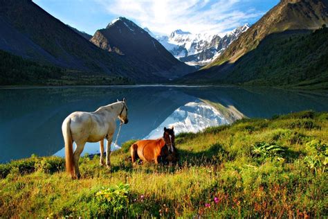 The Altai Mountains Siberia Russia