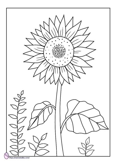 Buku paud tk tematik k13 kelompok a tema tanaman. Gambar Bunga Matahari Untuk Diwarnai : Koleksi Gambar ...
