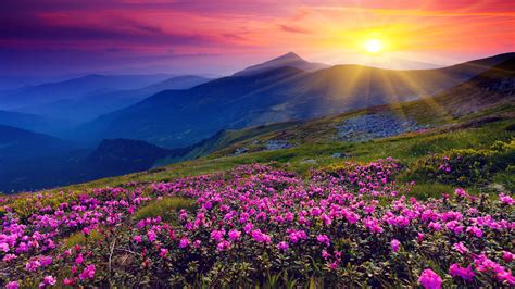 Free Download Sunset Mountain 4k Wallpaper High Definition